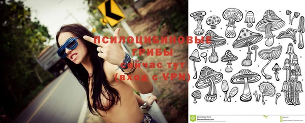 экстази Заводоуковск