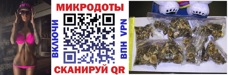 Псилоцибиновые грибы Psilocybe  Евпатория 